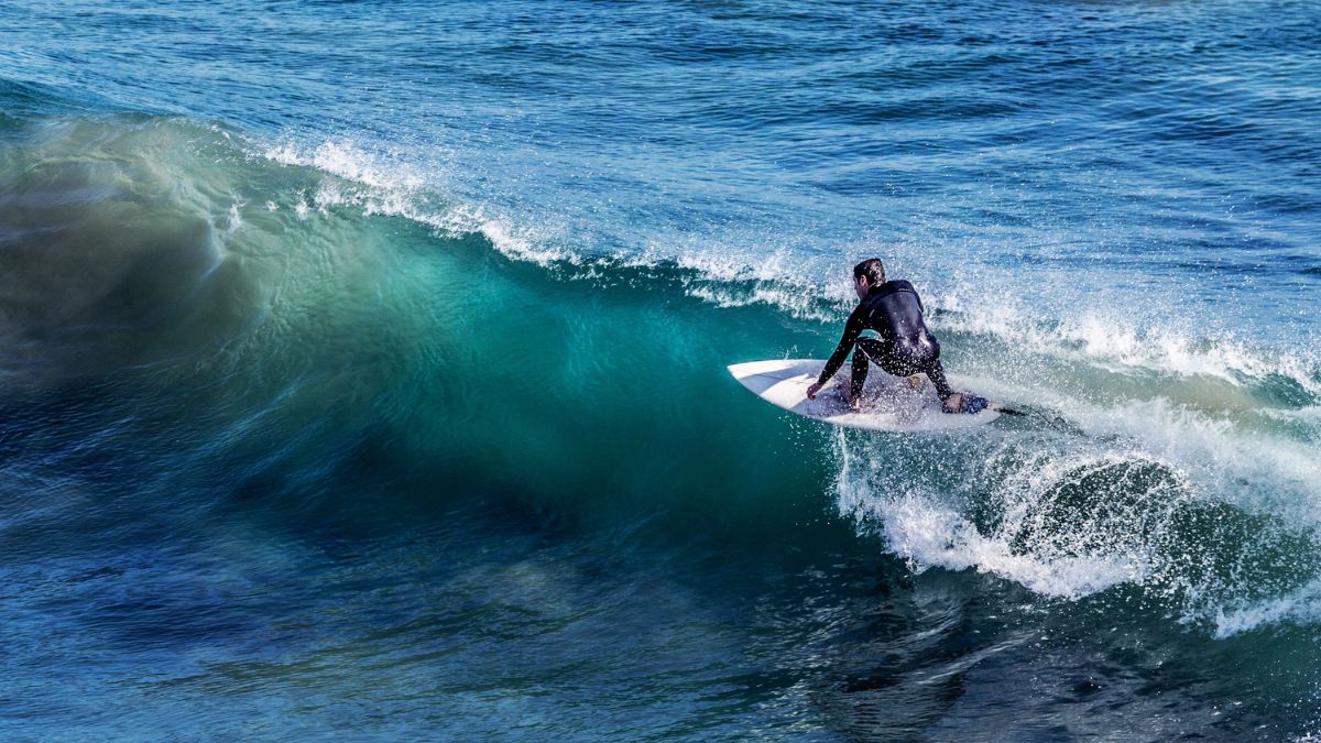 Arugam Bay Surf Season & Travel Guide: Best Points for All Levels & Private Transfer Routes